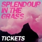 Splendour in the Grass 2018