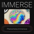 Phenomena Immersive - 7th November