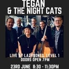Lvl 1 - Tegan and The Night Cats