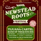 Newstead Roots Festival 2020
