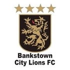 Bankstown City Lions FC Trivia Night