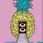 Big Pineapple Music Festival 2019