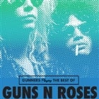 Guns N Roses by Gunners
