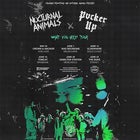 WHAT YOU NEED TOUR (ADELAIDE) - NOCTURNAL ANIMALS X PVCKER UP