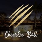 CheerSoc Ball