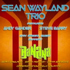 Sean Wayland Trio + Banana
