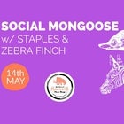 Social Mongoose w/ Staples and Zebra Finch