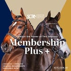 Mid Season 23/24 + Membership PLUS  24/25 