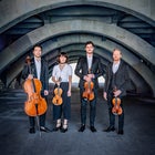 Australian String Quartet x Brading/Kither/Mee Performance 1