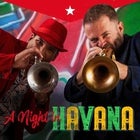 A Night in Havana feat Adam Hall and the Young Guns - THURSDAY