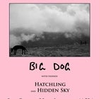 BIG DOG // Hatchling // Hidden Sky