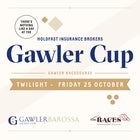 2019 Holdfast Insurance Brokers GAWLER CUP