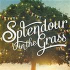 Splendour in the Grass 2013