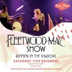 Fleetwood Mac Show - Running in the Shadows