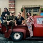HAYSEED DIXIE w/ special guests THE PIGS