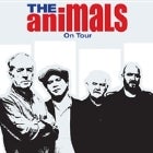 THE ANIMALS (UK)