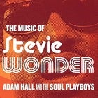 The Music of Stevie Wonder - The Rhythm Spectacular - SATURDAY