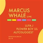 Marcus Whale w/ Lupa J, Flower Boy, Autosuggest
