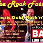 Rock Fossils at Mr Boogie Man Bar