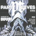PARTY THIEVES (USA)