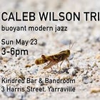 Caleb Wilson Trio 