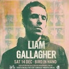Liam Gallagher at Bird in Hand Winery