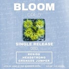 Bloom "Cold" Single Release - w/ Reside, Headstrong and Grenade Jumper