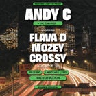 ANDY C, Flava D, Mozey & Crossy
