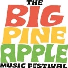 Big Pineapple Music Festival 2018
